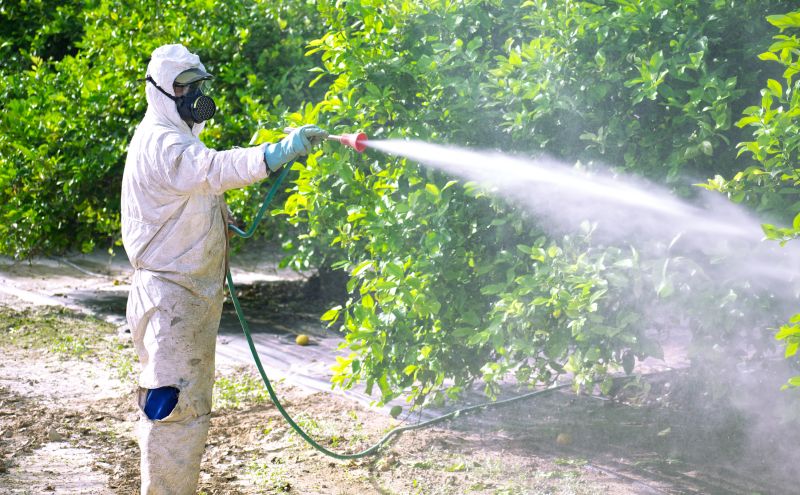 Pest Fumigation Service in Marietta, GA