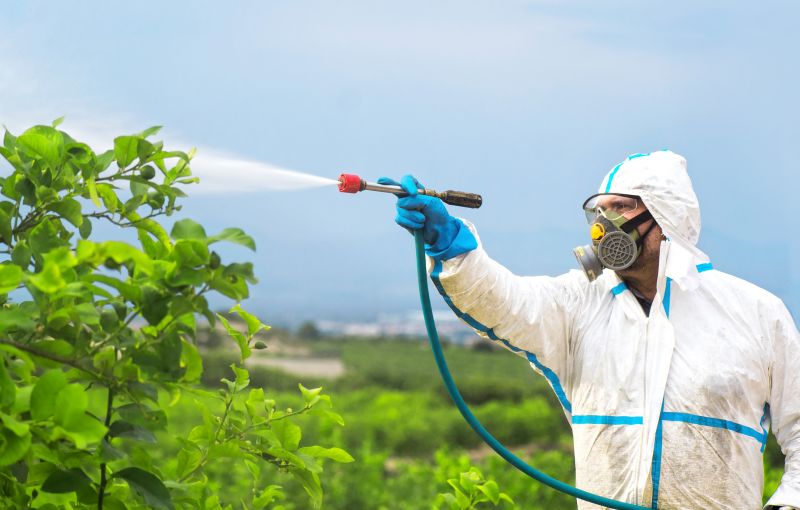 Rat Fumigation Service in Marietta, GA