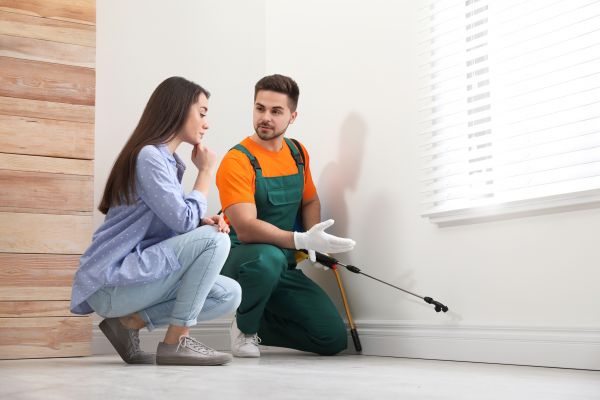 Home Insect Control