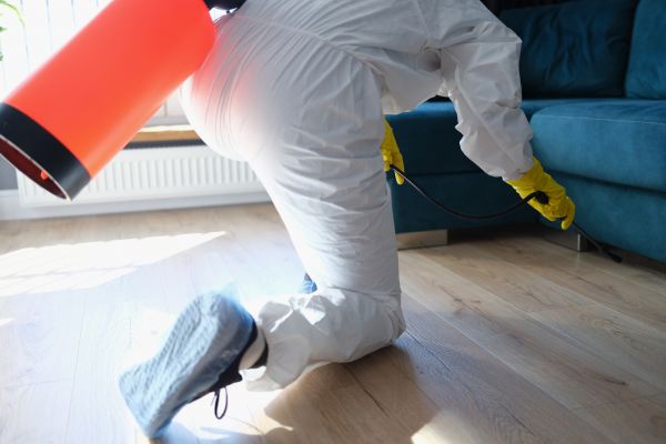 Residential Insect Control